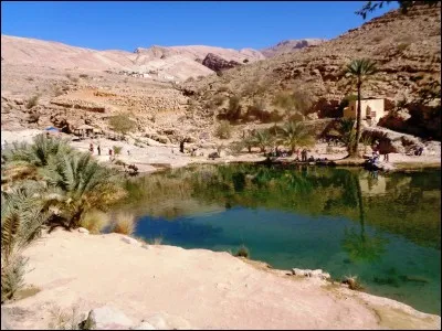 Que peut-on affirmer concernant les flux migratoires à Oman ?