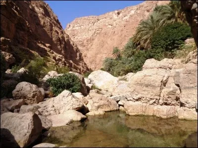 La ville côtière de Sur est le dernier endroit du pays où sont fabriqués les boutres traditionnels. Qu'est-ce qu'un boutre ?