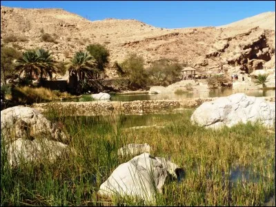 Grâce à la manne pétrolière, l'État omanais a les moyens de choyer sa population. Par exemple, que peut réclamer chaque citoyen à l'État ?