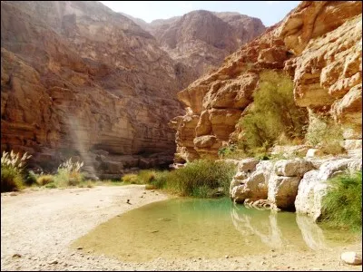 Par combien de pays Oman est-il bordé et quels sont-ils ?