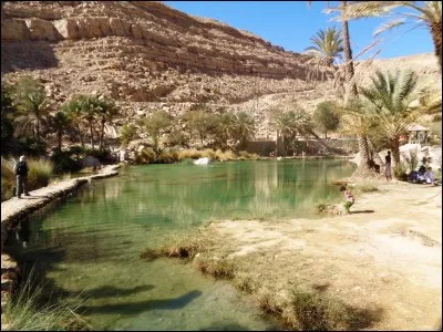 Oman est, entre autres, réputé pour ses wadis, mais qu'est-ce qu'un wadi ?