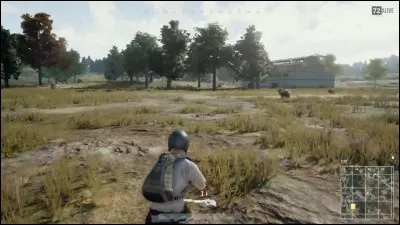 Derni&egrave;re question (qui n'a aucun rapport) : quel jeu a &eacute;t&eacute; le plus streamer en fin d'ann&eacute;e ?