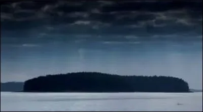 Qui Bonnie et les autres cherchent-ils sur l'île ? (S4-13)