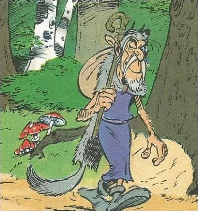 Quel nom porte le devin dans l'album &eacute;ponyme ?