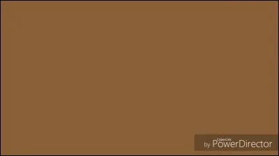 En peinture, quelle couleur est produite en mélangeant le jaune, le rouge et le bleu ?