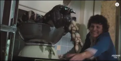 Une drôle de bête n'est-il pas ?