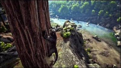 Qu'est-ce qu'un thylacoleo ?