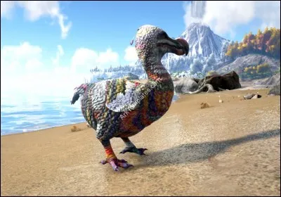 Est-ce qu'un dodo nous attaque ?