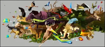 Crois-tu aux transformations ? (canid&eacute;s, f&eacute;lins, dragons)