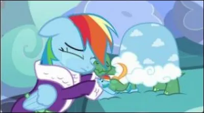 Rainbow Dash veut arrêter l'hiver ; mais pourquoi ?