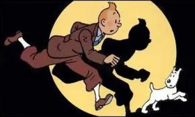 Quel est le titre de la première bande dessinée de la série classique des aventures de Tintin ?