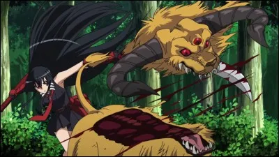 En cas de combat, que fais-tu ?