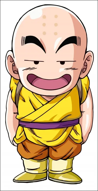 Qui est la femme de Krilin ?