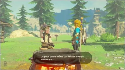 Pistou, un homme situé près de ce relais demande à Link de lui apporter...