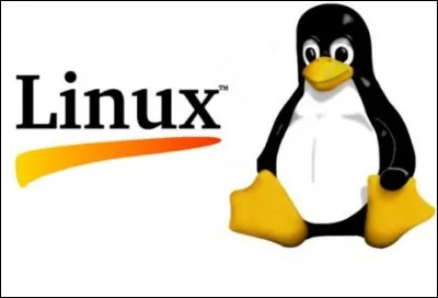 De quelle année date la toute première version stable de 
Linux ?