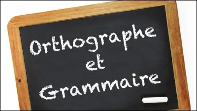 L'orthographe et la grammaire...