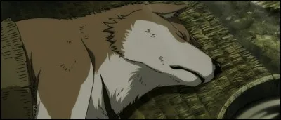 Pourquoi Tobimaru est-il dans cet état ?