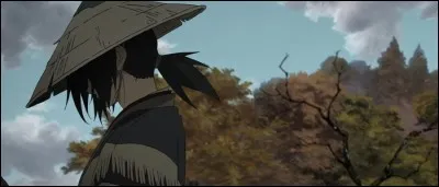 Quelle est la vraie couleur des cheveux de Nanashi ?