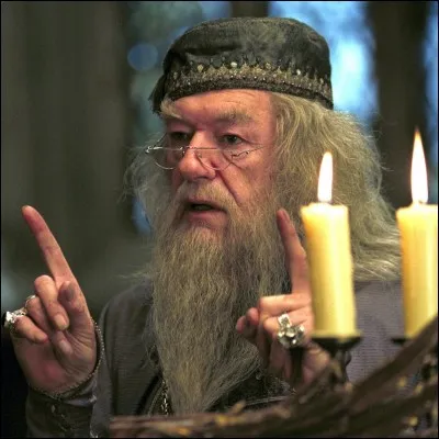 Ton sorcier pr&eacute;f&eacute;r&eacute; est :