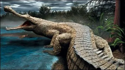 Le Sarcosuchus est le plus grand crocodilien du monde.