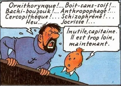 Parmi les insultes du capitaine Haddock, laquelle correspond à un mammifère d'Afrique ?