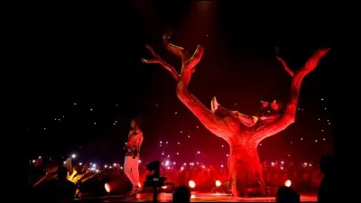 Qui assure leurs débuts de concerts ?