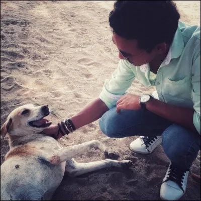 À qui doit-on "Irresistiblement" ?