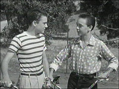 Qui interprète les frères Hardy dans les 2 serials Walt Disney des années 50 ?