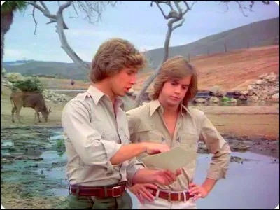 Qui interprète les frères Hardy dans la série des années 70 ?