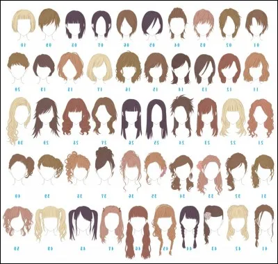 Si tu devais faire une seule coiffure dans ta vie, ce serait...