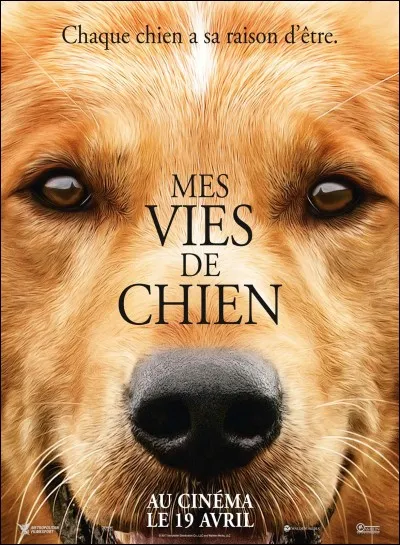 Comment se nomme le chien dans "Mes vies de chien" ?