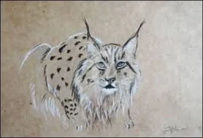 Quand à la vue je suis apportée, au regard je confère distinction. Je suis...