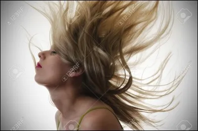Elle a chanté "Cheveux au vent". Qui est-ce ?