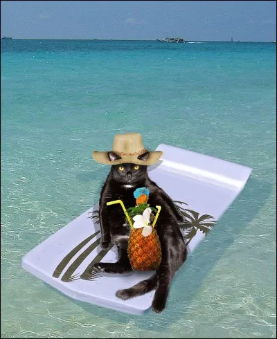 Tu as 3 nuits de vacances, tu pr&eacute;f&egrave;res les passer :