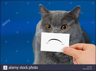 La personne &agrave; qui tu fais le plus confiance t'a menti et trahi. Comment r&eacute;agis-tu en premier ?