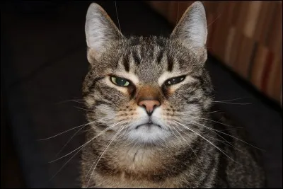 Tu te retrouves avec un groupe de personnes que tu n'aimes pas, tu ne peux pas partir. Que fais-tu ?