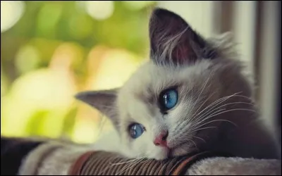 Un ami est boulevers&eacute; et a envie de se confier aupr&egrave;s de moi, &agrave; propos du mal que quelqu'un vient de lui faire. Je d&eacute;cide de r&eacute;pondre pr&eacute;sent, puis...