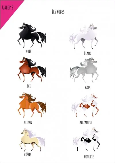 Quelle est la robe à ne pas connaître au galop 1 ? (Cette robe est apprise au galop 3)