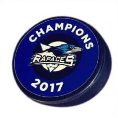 Quelle ville est représentée par "Les rapaces" ?