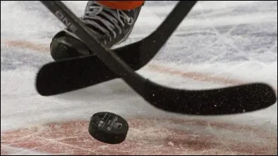 Quel nom porte également le palet ?