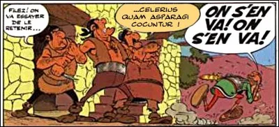 Dans « Astérix en Corse », cette citation (dans la bulle centrale colorée) n'aurait aucunement déparé. Qu'en dites-vous ?