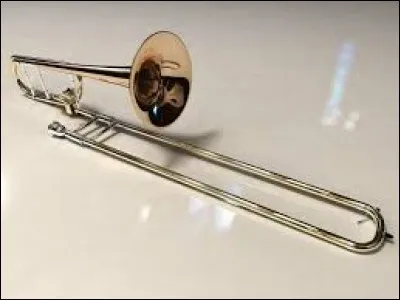 À quelle catégorie d'instruments, le trombone appartient-il ?