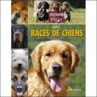 Et un grand clin d'oeil aux SP : Met-on une majuscule aux races de chiens ?