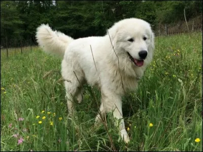 Mais où l'auteur va-t-il chercher des noms pareils !