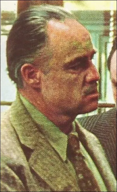 Quel est le nom de cet artiste qui n'est pas mon cousin ?