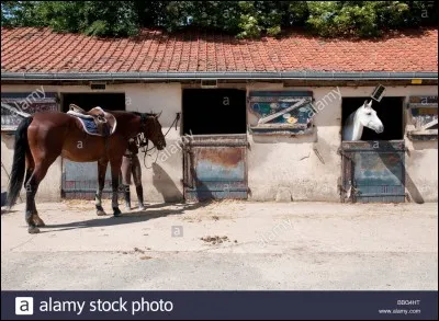 Qu'est-ce que la litière ?