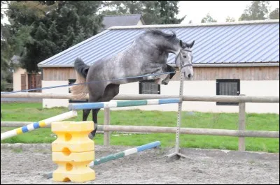 Quelle position doit-on avoir quand on saute ?