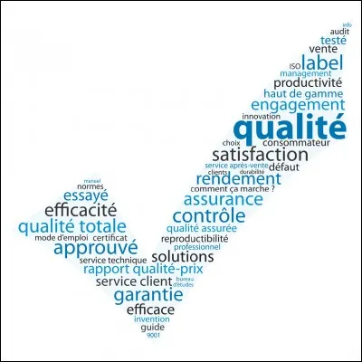 Laquelle de ces qualités te représente le plus ?