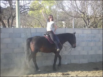 Peut-on monter à l'envers sur une selle ?