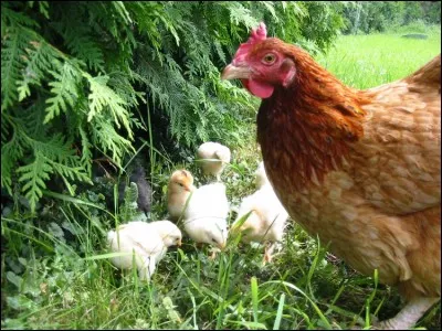 Ils sont tous là et profitent d'un jolie balade. Quel concert !